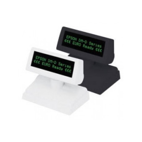 Epson Display DM-D110BA, gris foncé, USB