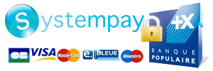 Logo Systempay Banque Populaire
